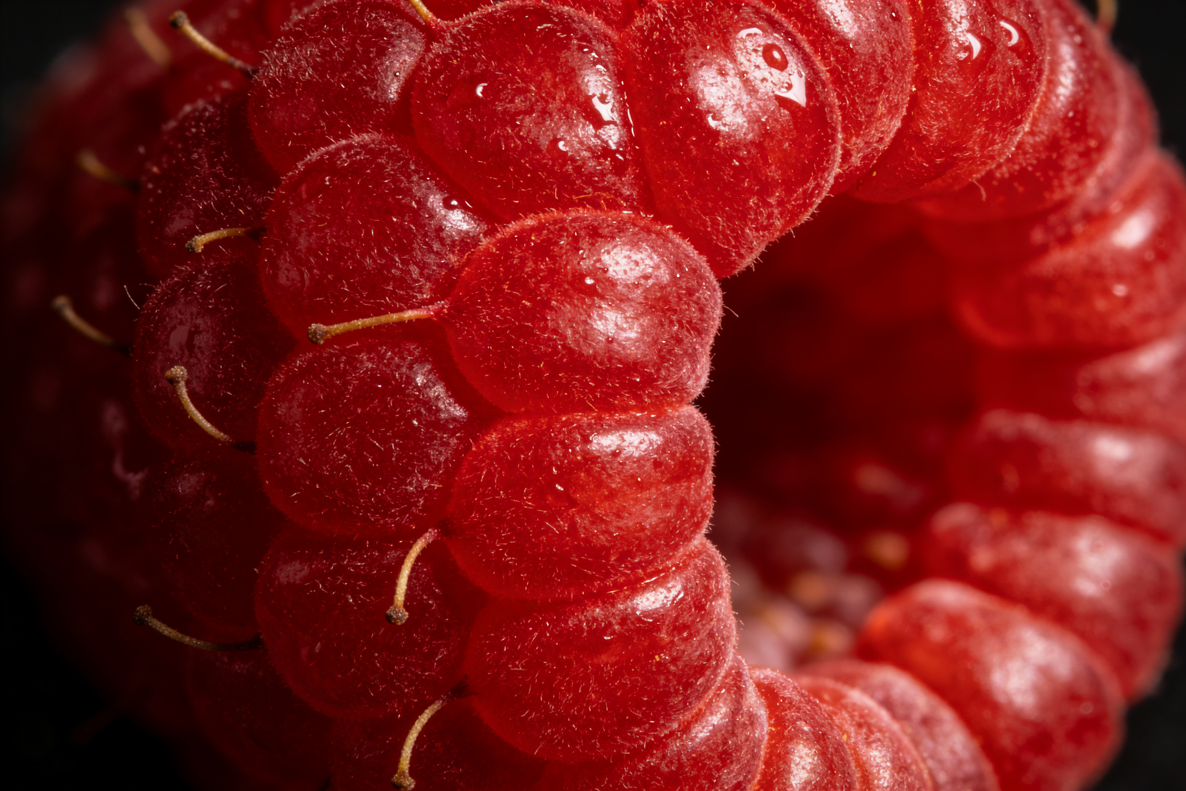 Macro Raspberry Close-Up Photo on Lummi