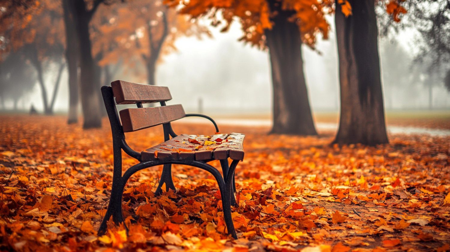 Serene Autumn Park Scene