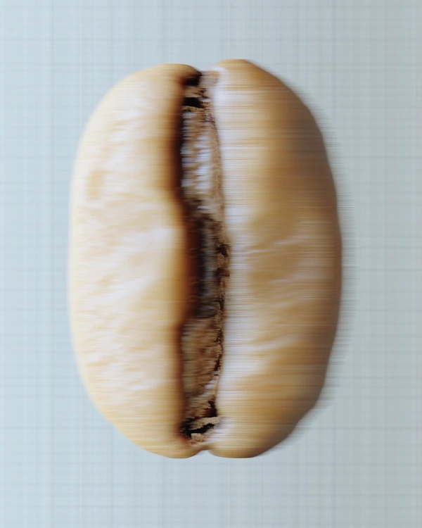 Close-Up Coffee Bean