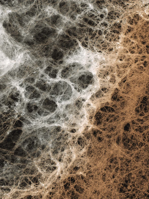 Intricate Fiber Network