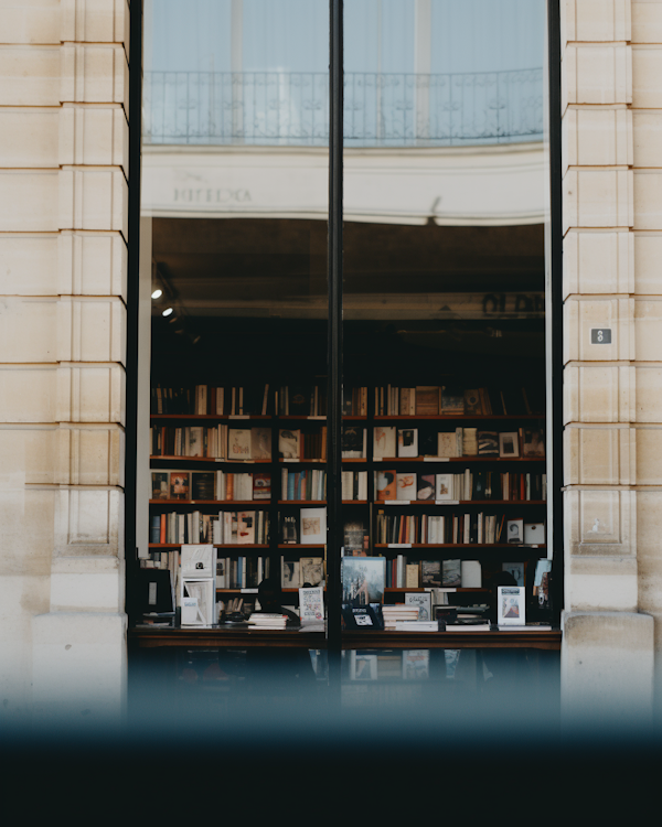 Tranquil Book Haven with Neat Shelves and Classic Ambiance