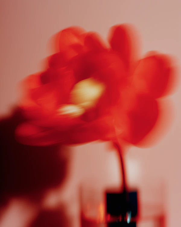 Abstract Red Flower