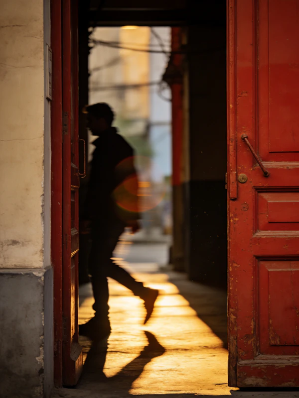 Golden Door Silhouette