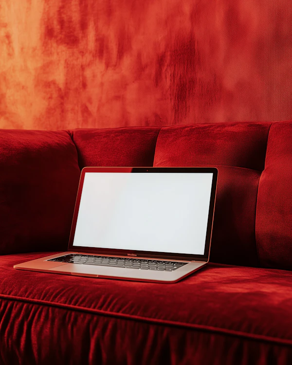 Laptop on Velvet Couch