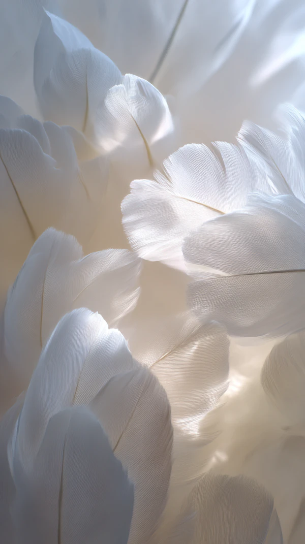 Delicate White Feathers
