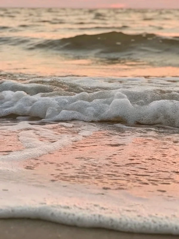 Golden Sunset Shoreline