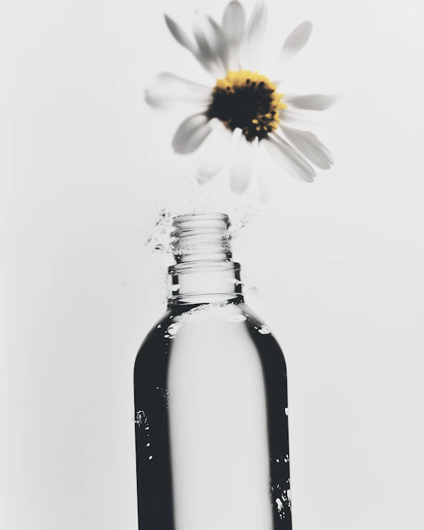 Daisy in Glass Bottle