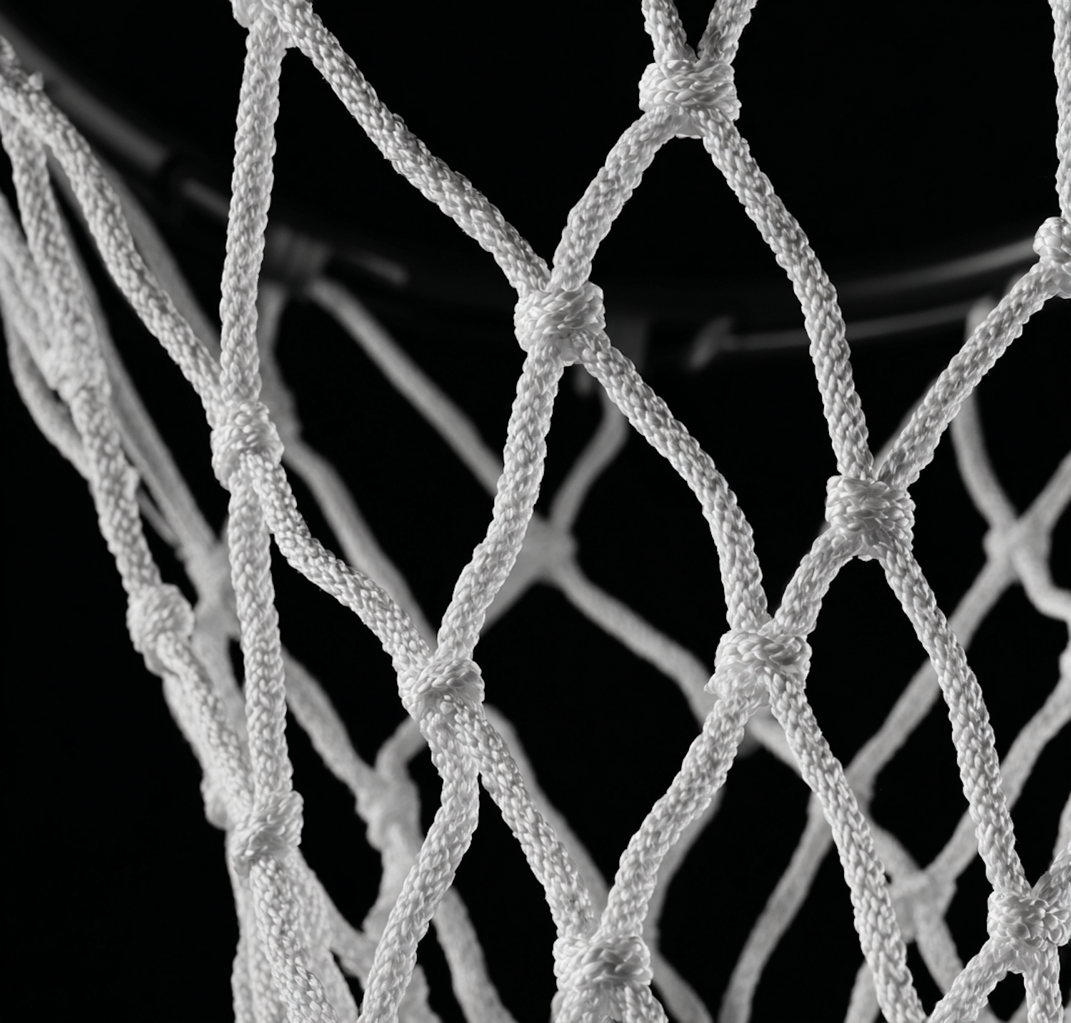 Close-Up Basketball Net