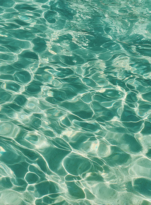 Sunlit Rippling Water View