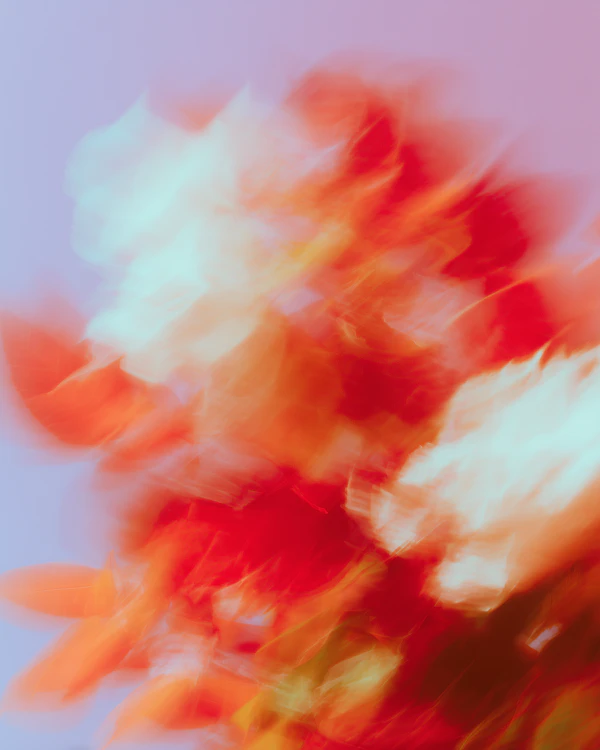 Abstract Floral Hues
