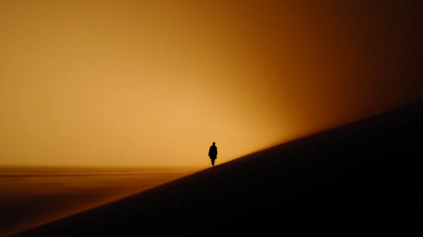 Solitary Dune Silhouette