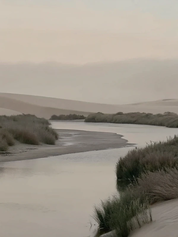 Serene River Landscape