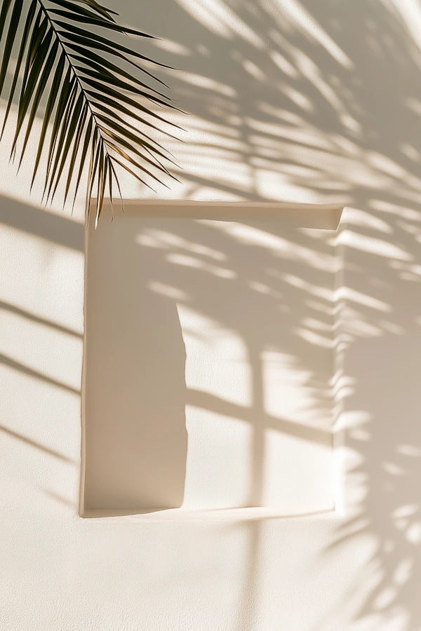 Palm Shadows on Wall