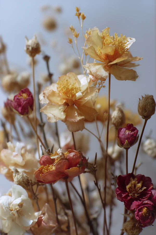 Dried Flower Bouquet