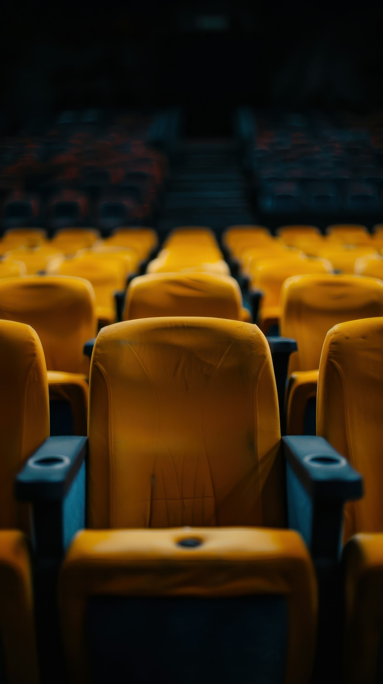 Empty Theater Seats