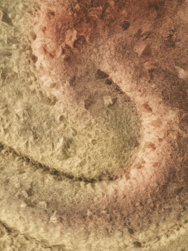 Textured Abstract Surface