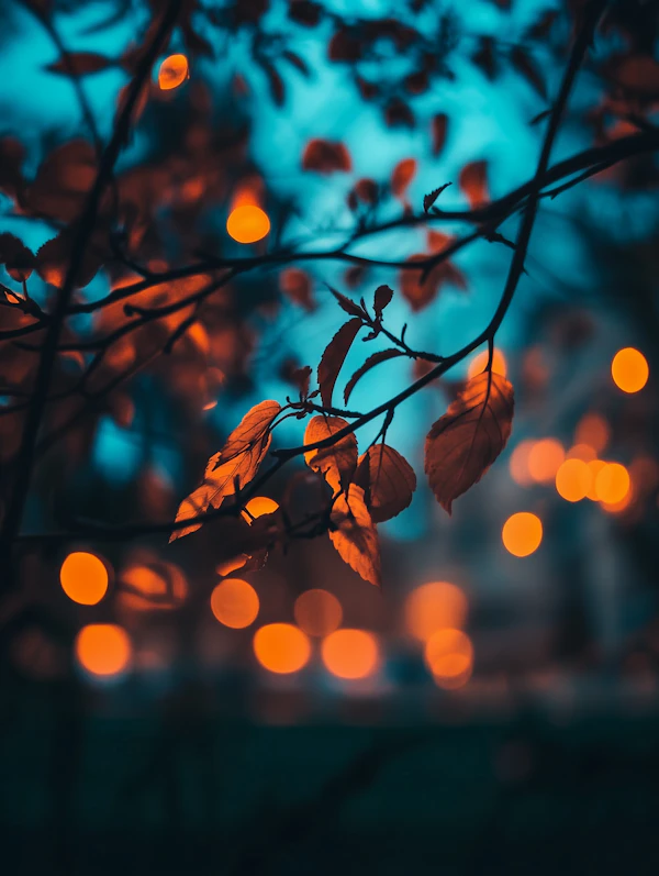 Autumn Leaves Close-Up