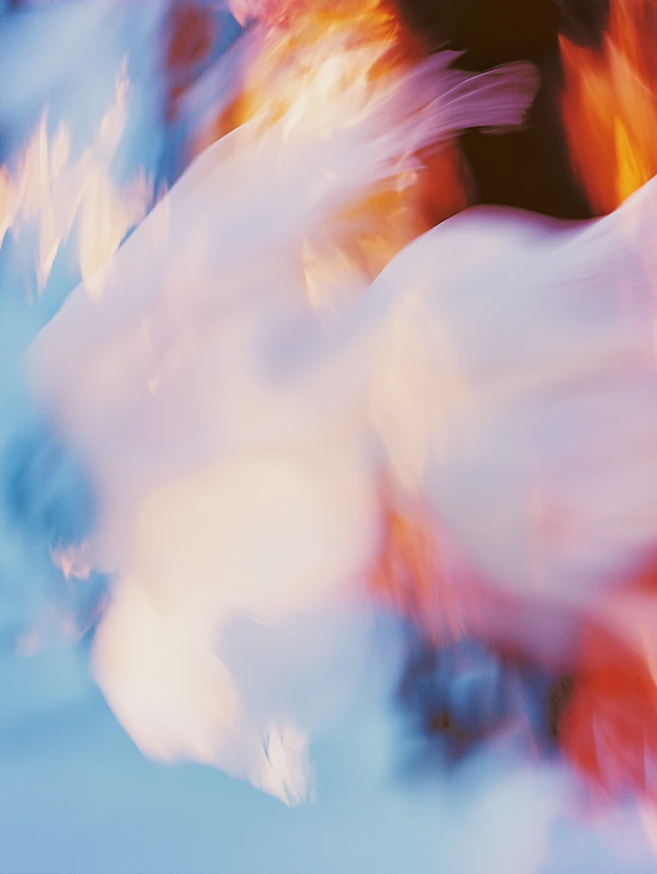 Vibrant Abstract Swirls