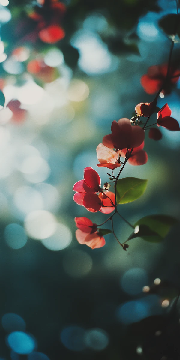 Close-up of Vibrant Red Flowers