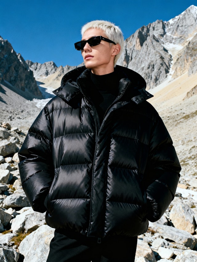 Stylish Mountain Scene