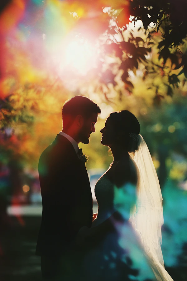 Romantic Silhouette