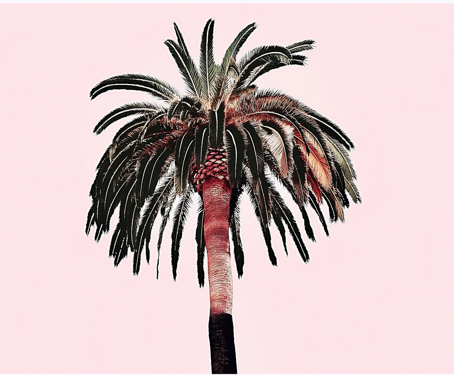 Stylized Palm Tree Art