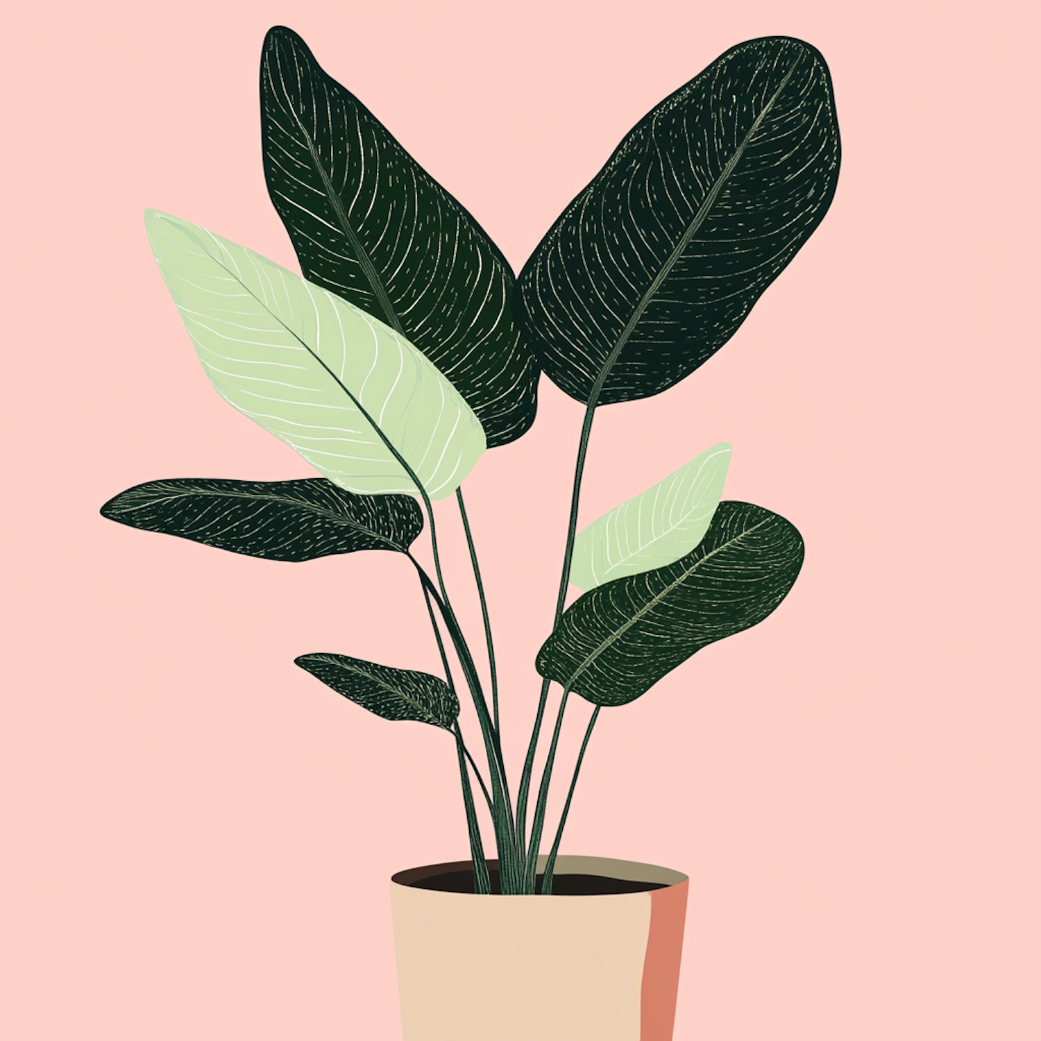 Potted Plant Against Pink Background