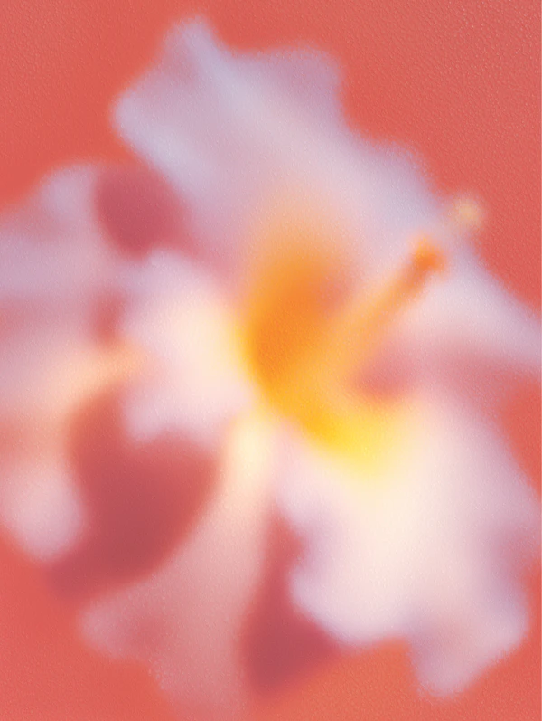 Ethereal Flower Art