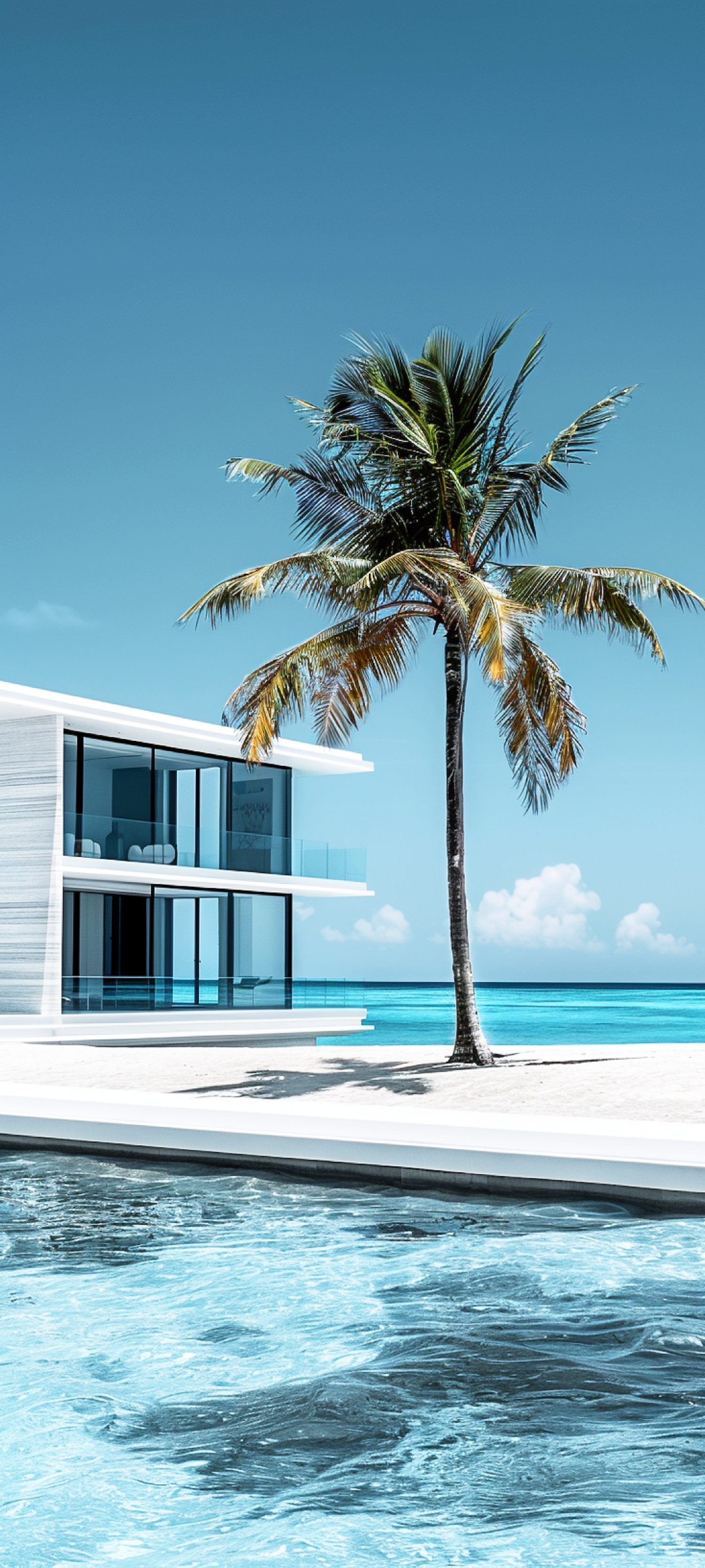 Contemporary Waterfront Architecture with Palm Tree