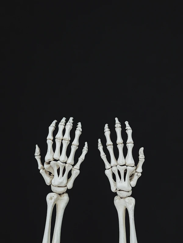 Skeletal Hands on Black Background